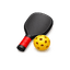 PickleReset